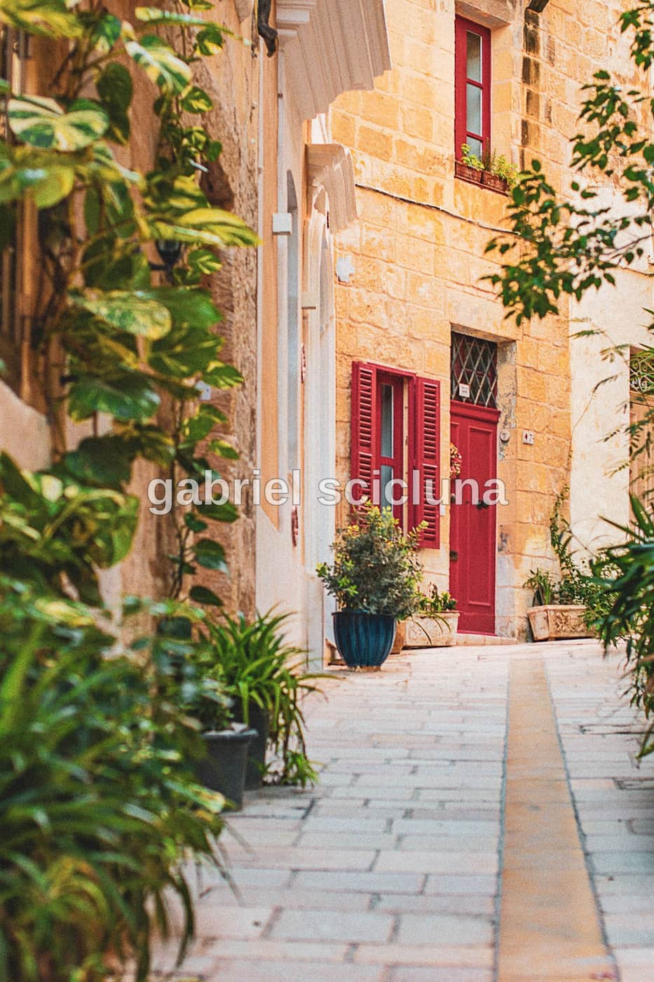 A vivid doorway among the limestone streets of Birgu (Vittoriosa). — Photograph 504 by Gabriel Scicluna